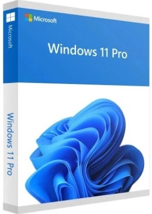 Microsoft Windows 11 Pro Eng OEI (FQC-10528)