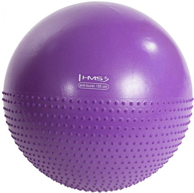 Mingea fitness HMS YB03 55cm Violet