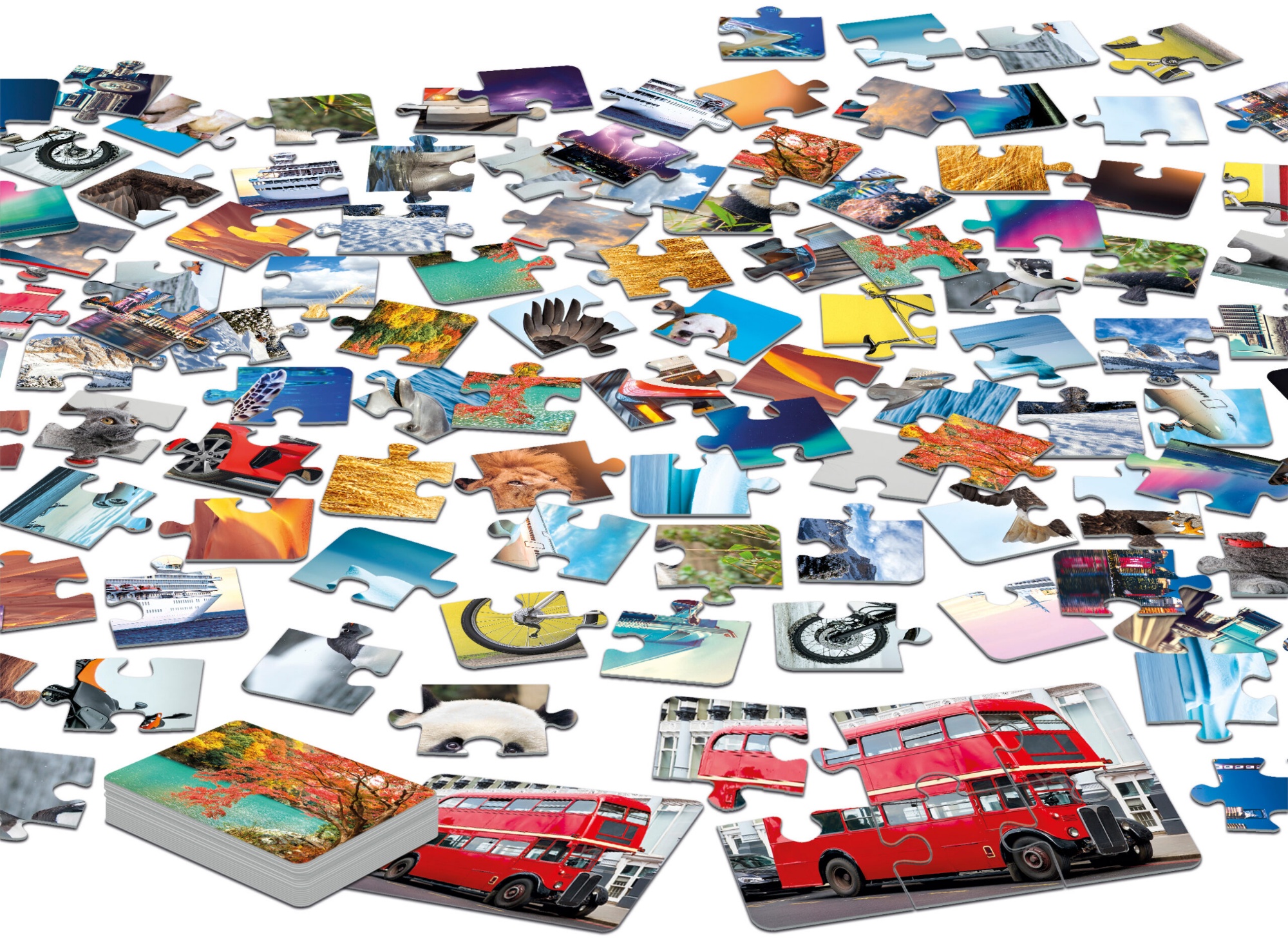 Puzzle 21