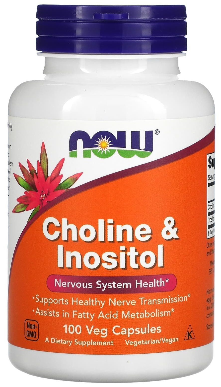 Пищевая добавка NOW Choline & Inositol 100cap – купить в Кишиневе и ...