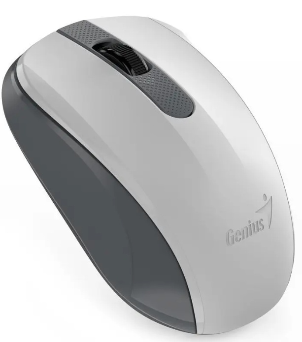 Mouse Genius NX-8008S Grey/White
