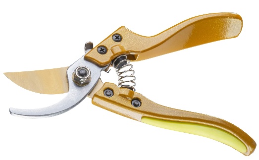 Foarfecă de gradină (secatore) Gardex 402901