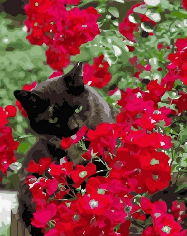 Tablou pe numere Strateg Кот в красных цветах (VA-3593)