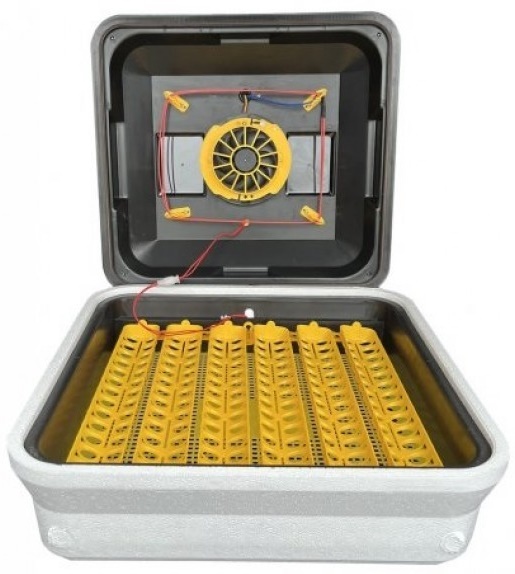 Incubator Teplusha EU 88-12B