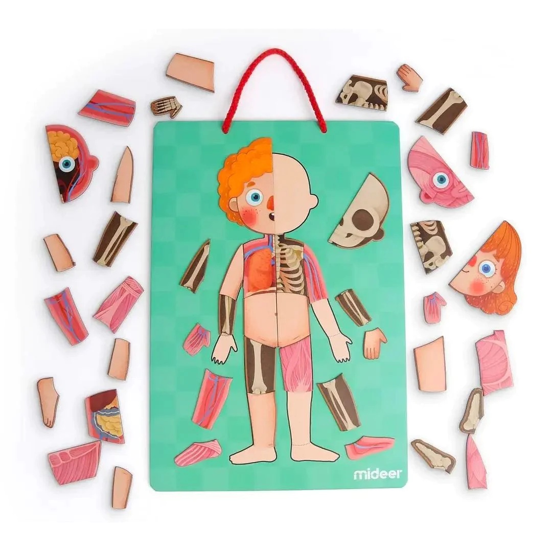 Joc educativ Mideer Human Body 90pcs CT7013