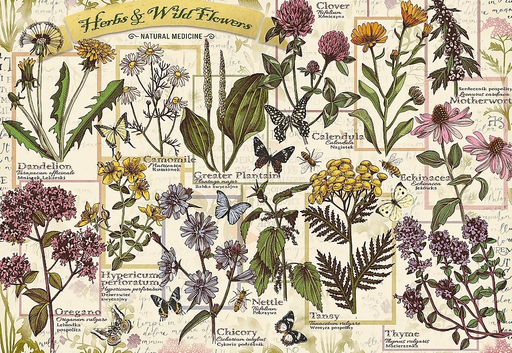 Puzzle Trefl 500 Herbarium: Medicinal Herbs (37478)