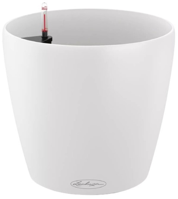 Lechuza Classico Color 28