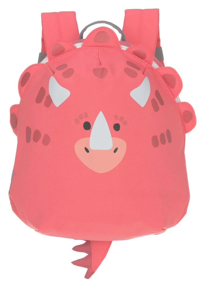 Rucsac pentru copii Lassig Friends Dino LS1203021549