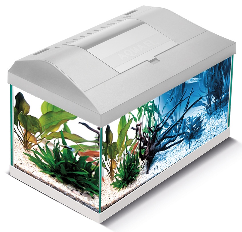 Aquael Set Leddy Plus PAP-40 D&N