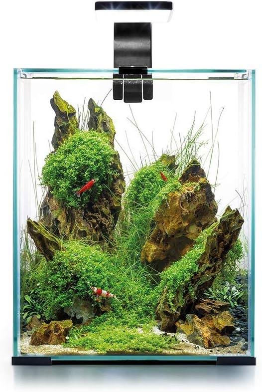 Acvariu Aquael Shrimp Set Smart D&N 20L (122978)