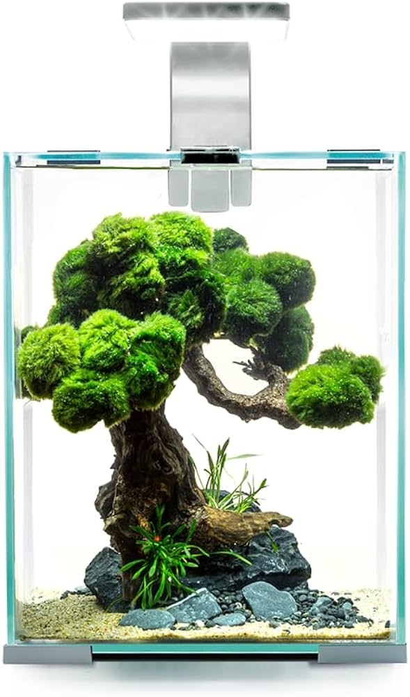 Aquael Shrimp Set Smart D&N 10L