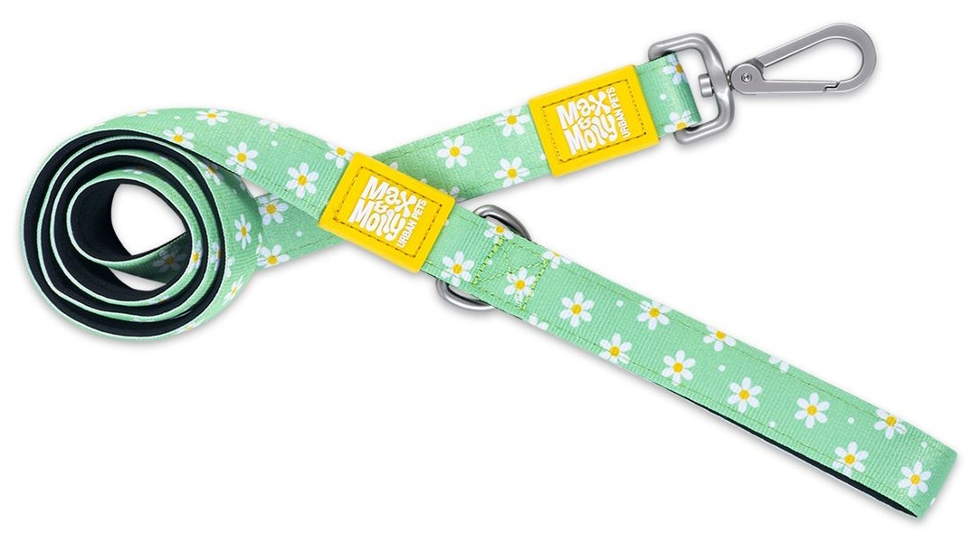 Max & Molly Margarite 232007