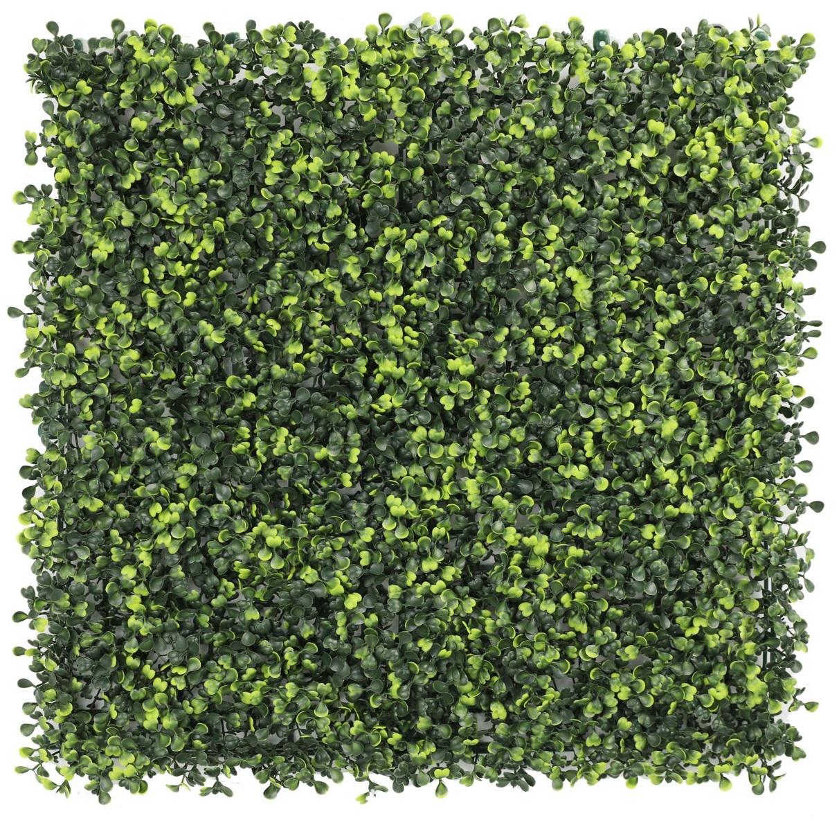 Tenax Greenery Boxwood Light