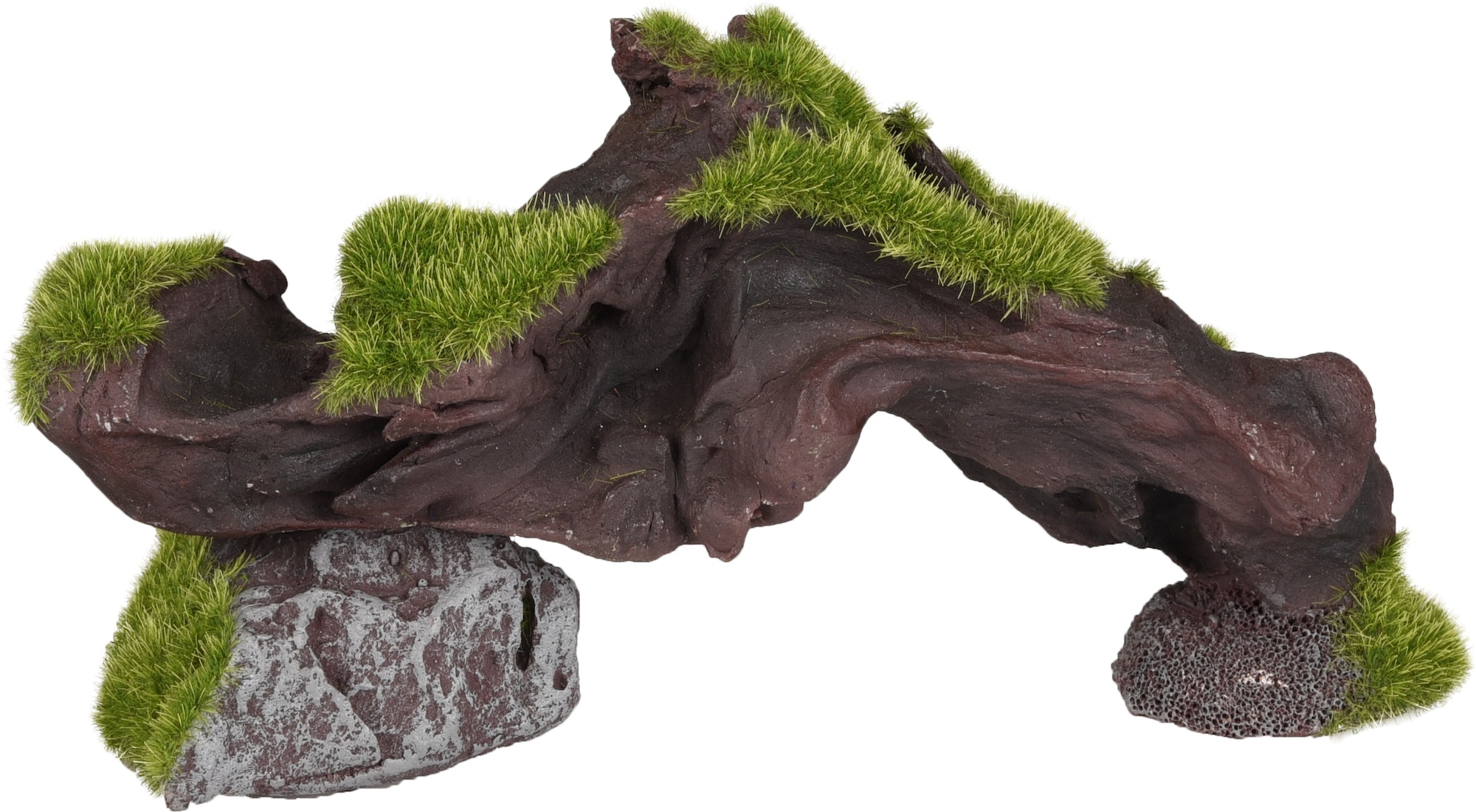 Flamingo Kozma Branch