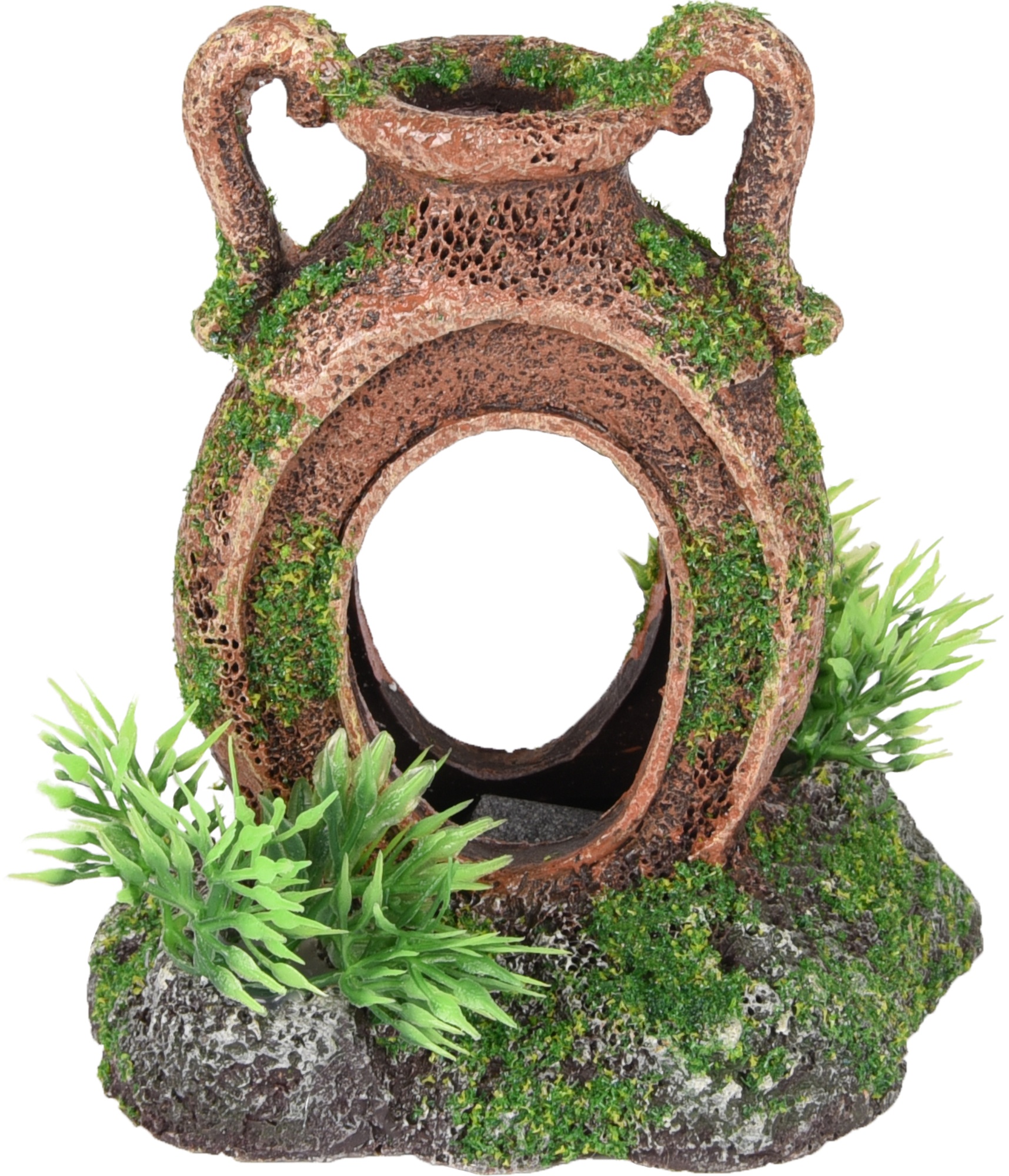 Flamingo Moza Pitcher + Plant