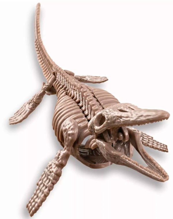 Set pentru creativitate 4M Dig a Mosasaurus Skeleton (00-03457)