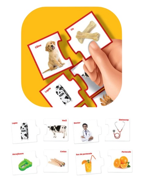 Puzzle Noriel Asociaza Elementele