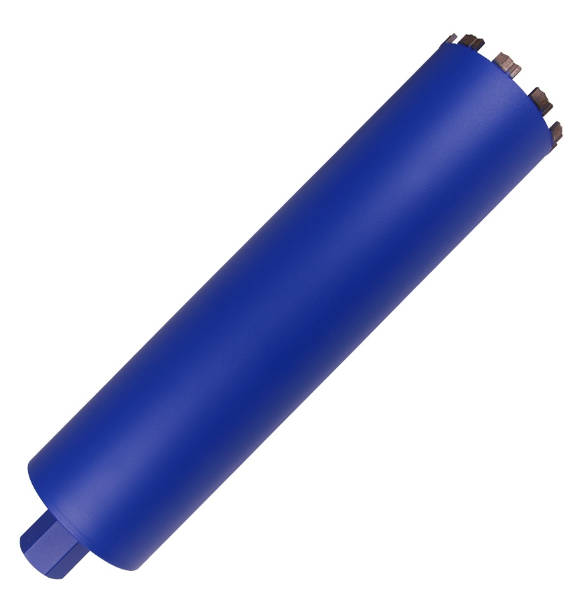 Carota Distar 10170429033