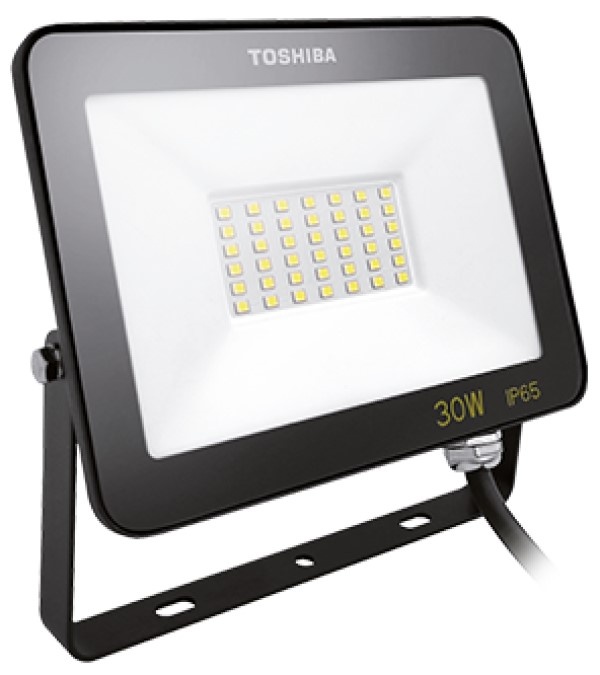 Proiector Toshiba IP65 30W 4000K Black 00172838