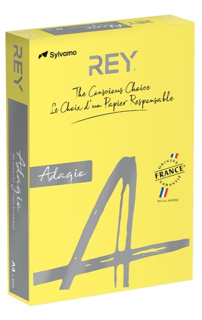 Rey Adagio Yellow 66 Intense (RYADA160X411)