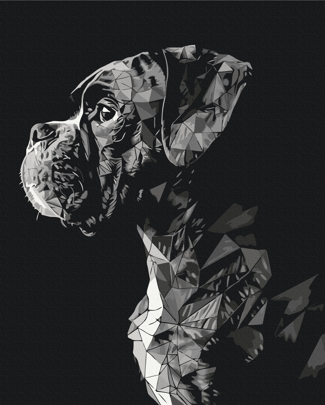 Tablou pe numere Brushme Străjerul nocturn BS53935