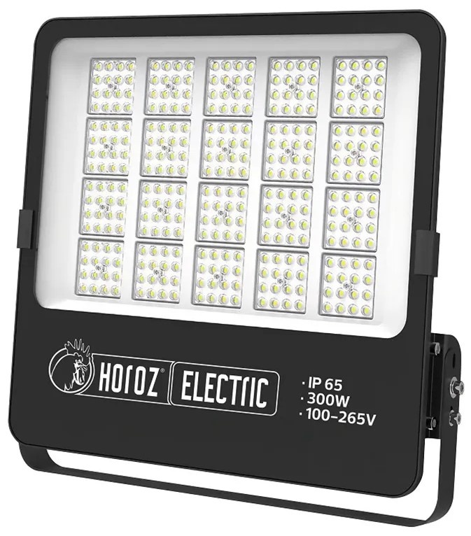 Proiector Horoz Borneo-300 (0680330300010)