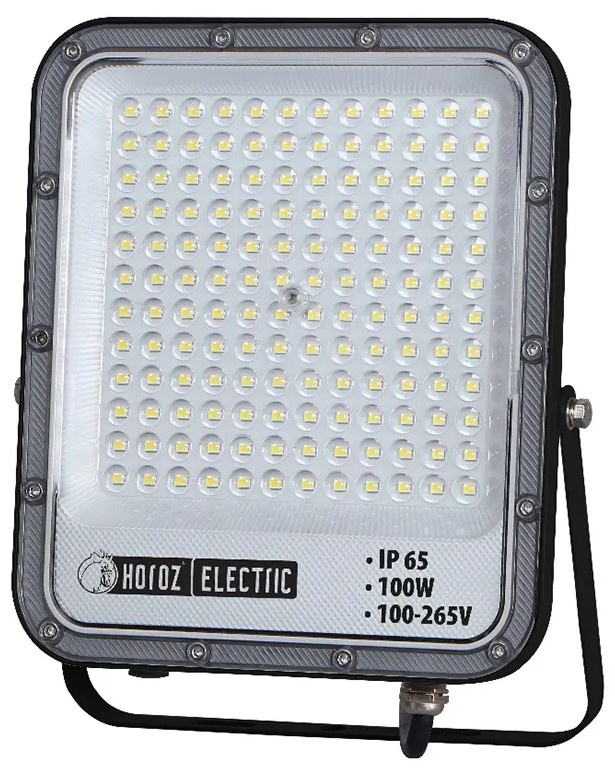 Proiector Horoz Pallas-100 (0680300100010)