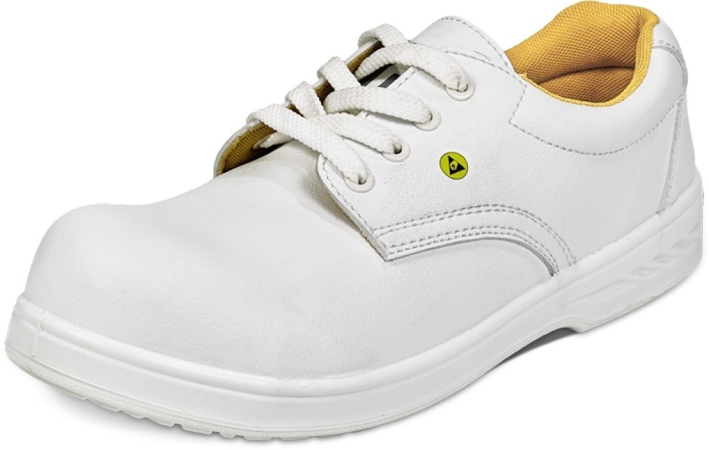 Cerva Raven MF ESD S1