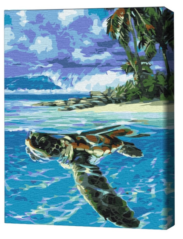 Brushme Brushme Țestoasa tropicală