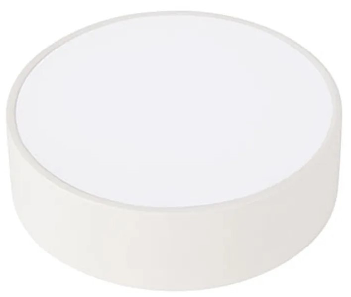 Plafonieră Horoz Catalina-12 (0160811012010)