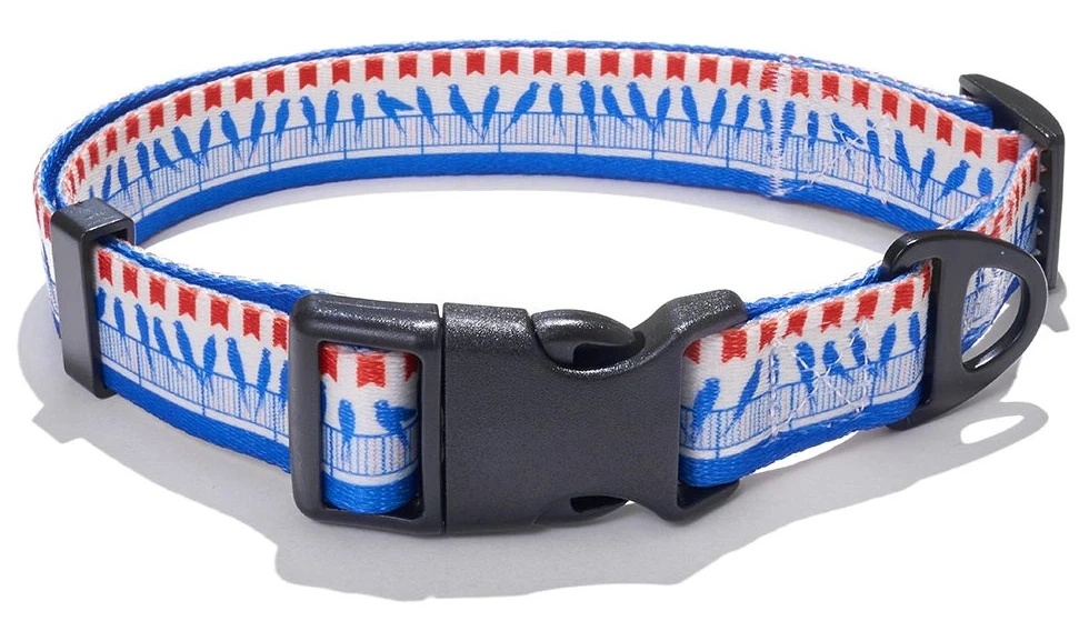 Explorer Dog Birds L