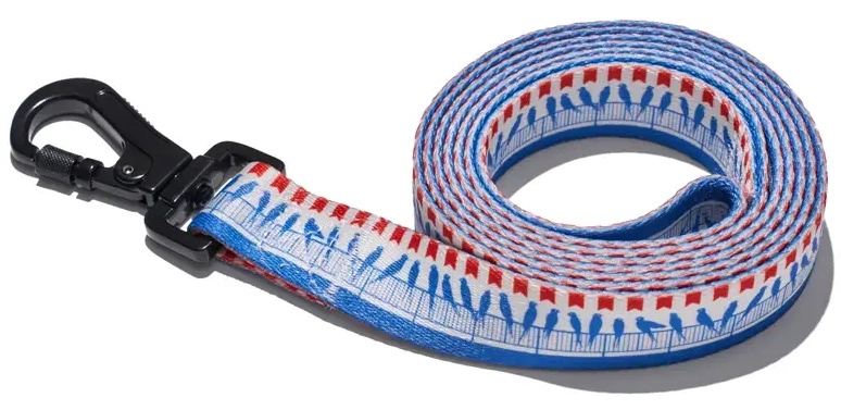 Explorer Dog Birds L