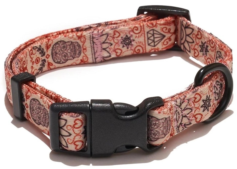 Zgardă Explorer Dog Heart S 24-36cm (TED127)