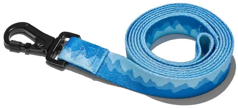 Explorer Dog Mountains L