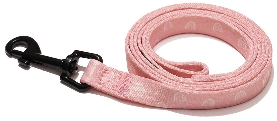 Explorer Dog Rainbow S