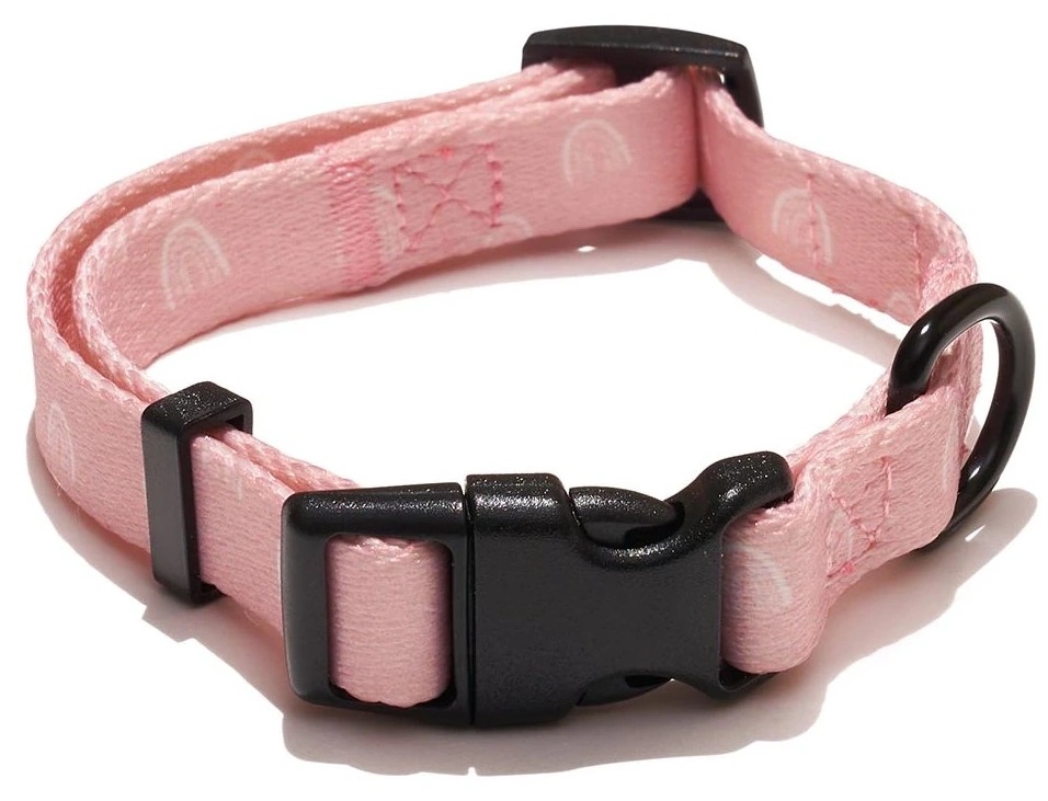 Zgardă Explorer Dog Rainbow S