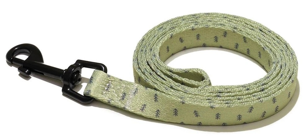 Explorer Dog Trees S