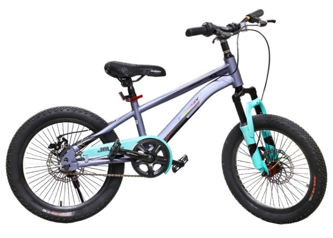 Bicicletă copii New World Grey 61549 APAQI