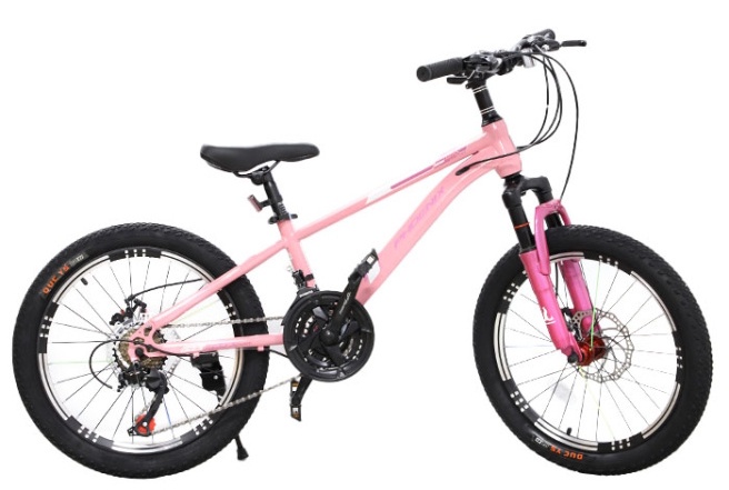 New World Pink 61565