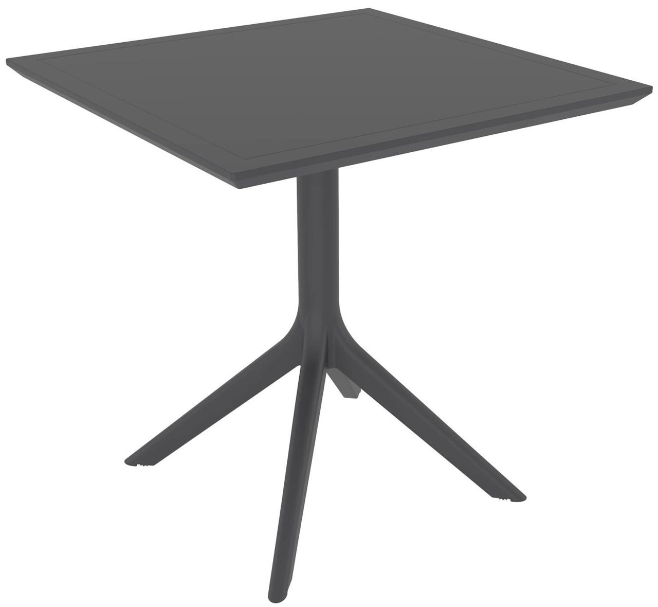 Rainbow RITA SILVA P