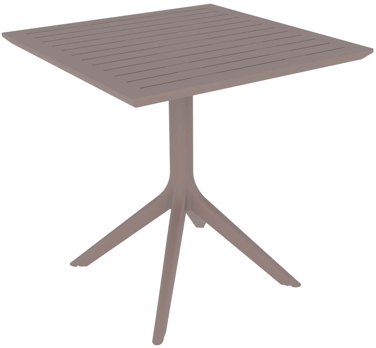 Rainbow RITA SILVA W