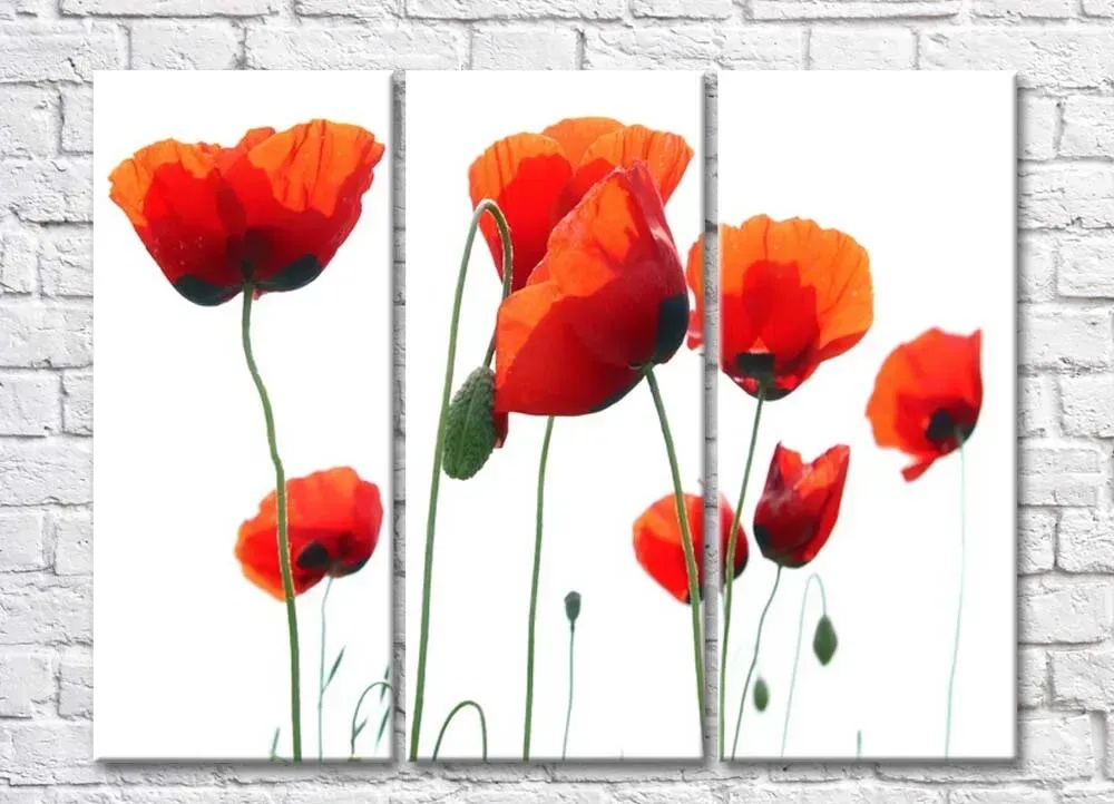Pictură ArtPoster Red poppies (500349)