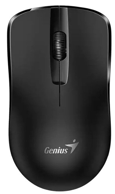 Mouse Genius NX-7000X