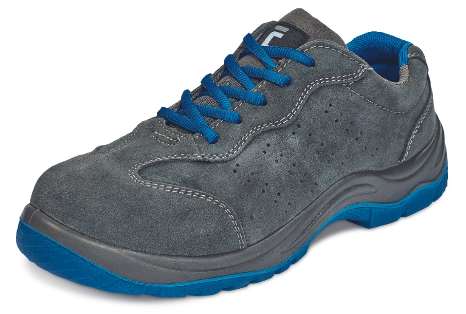 Cerva Montrose ESD S1P SRC