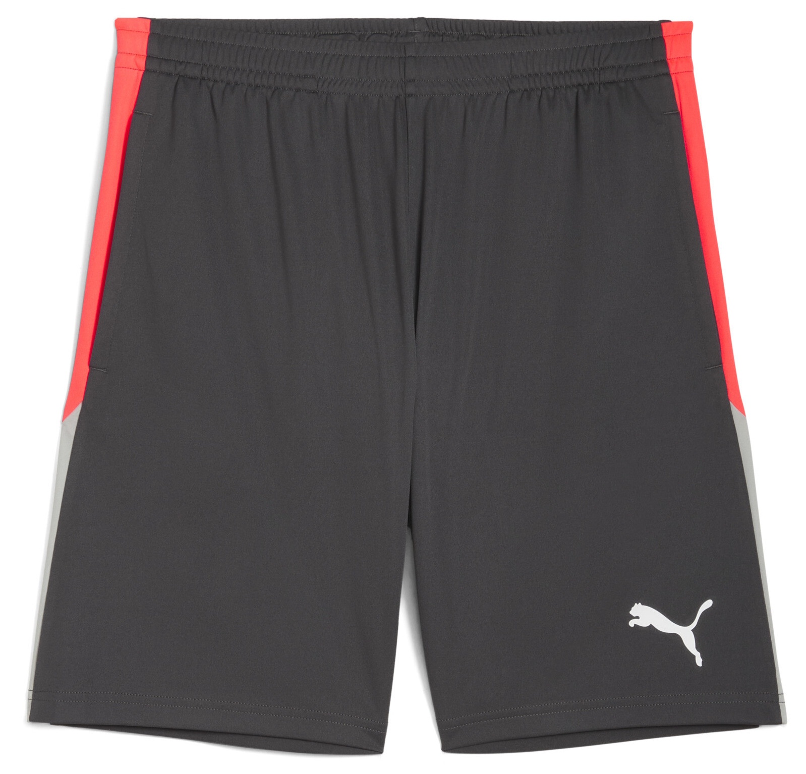 Puma Individualliga Training Shorts