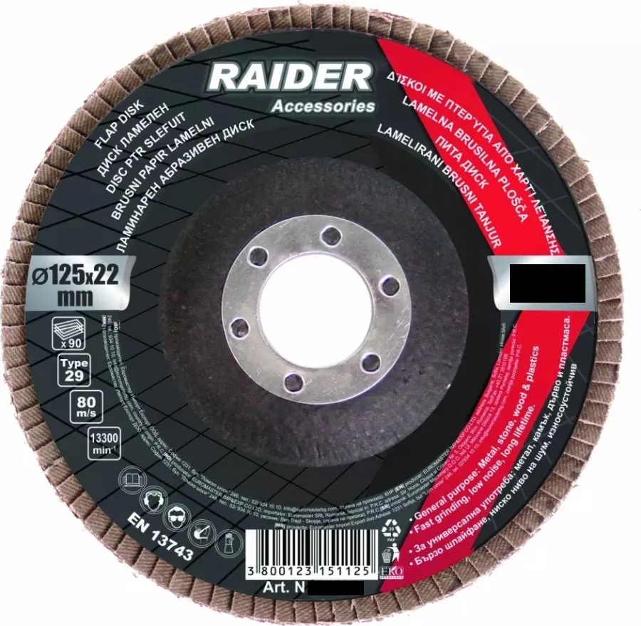 Raider 164119