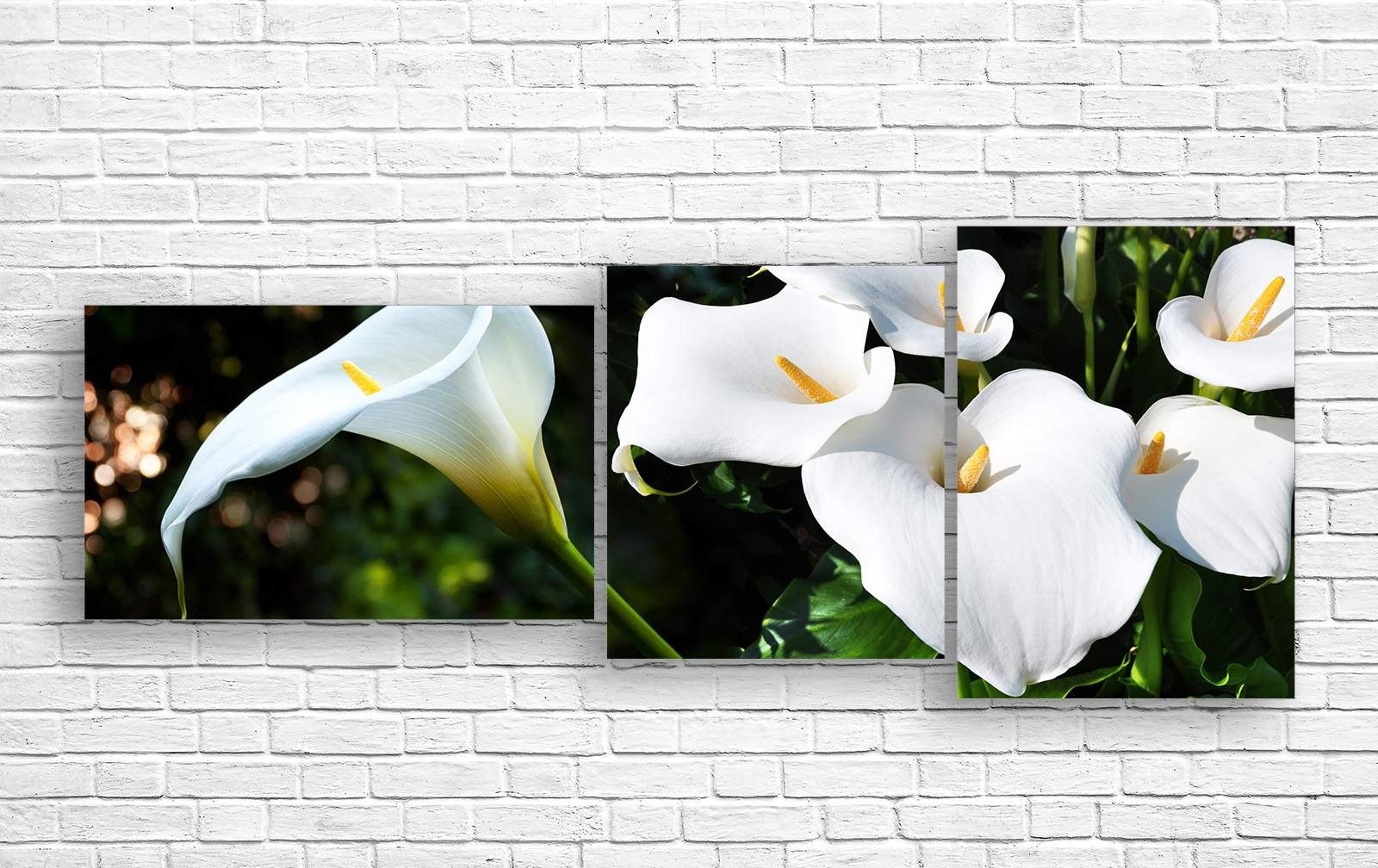 Pictură ArtDesign White calla lilies 154x60cm (C-10231)