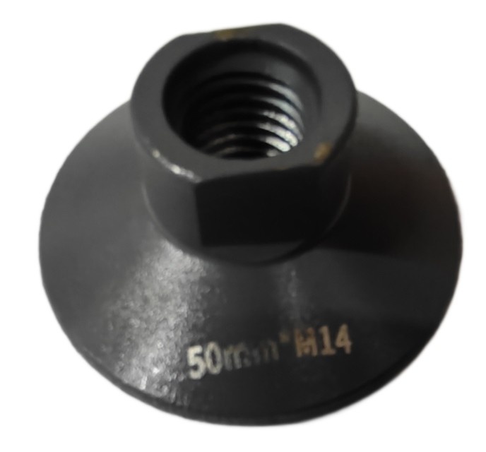 Carota Shijing 892505