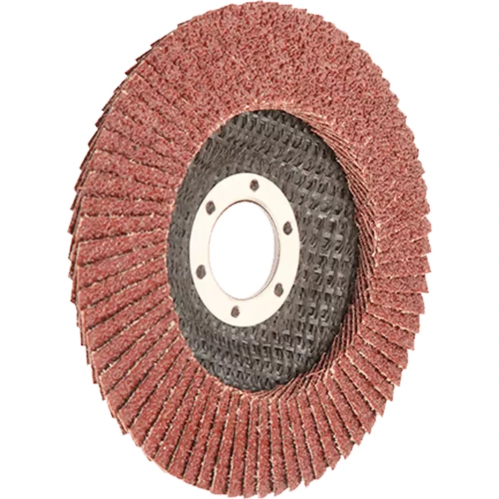 Disc de șlefuit Wokin 775104