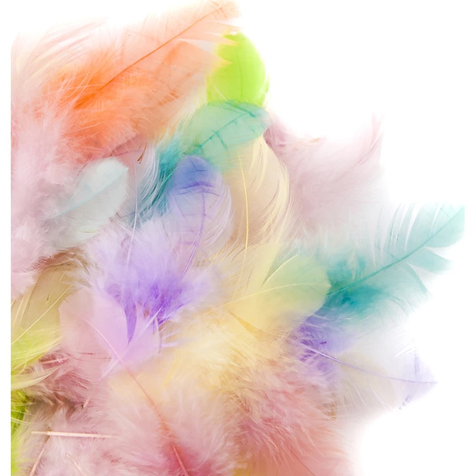 Material pentru artizanat DPCraft Feathers (CEPI-103)